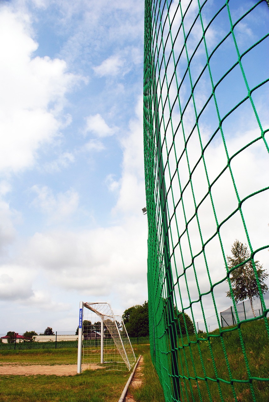 胜利的背后 胜利的背后