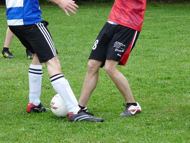 18支醒狮 18支醒狮